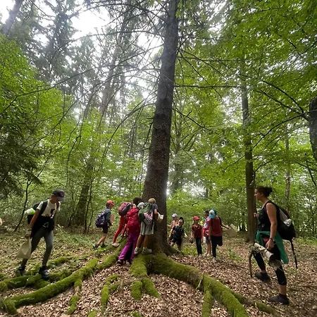 Maringotka Waldeck Ohrazenice (Pribram)