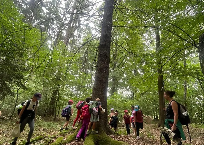 Maringotka Waldeck Ohrazenice (Pribram)